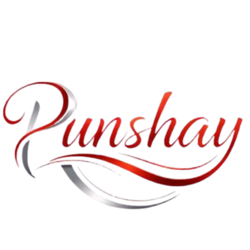 Punshay.com logo
