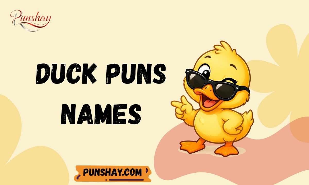 Duck puns names