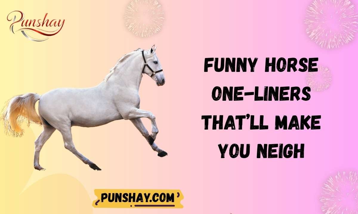 Funny Horse One-Liners That’ll Make You Neigh
