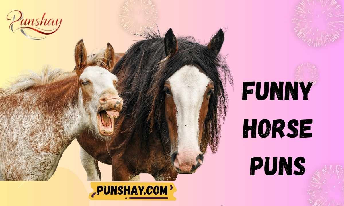 Funny horse puns
