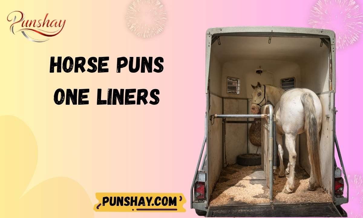 Horse Puns One Liners