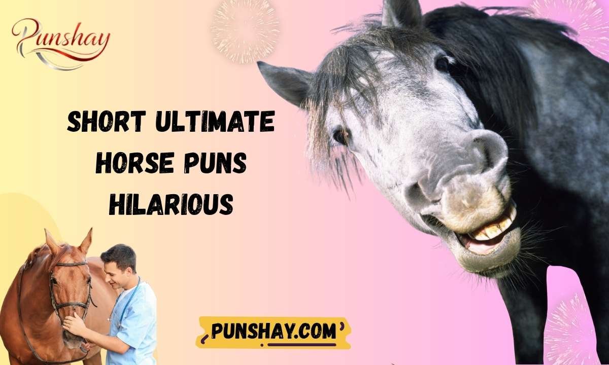 Short ultimate horse puns hilarious
