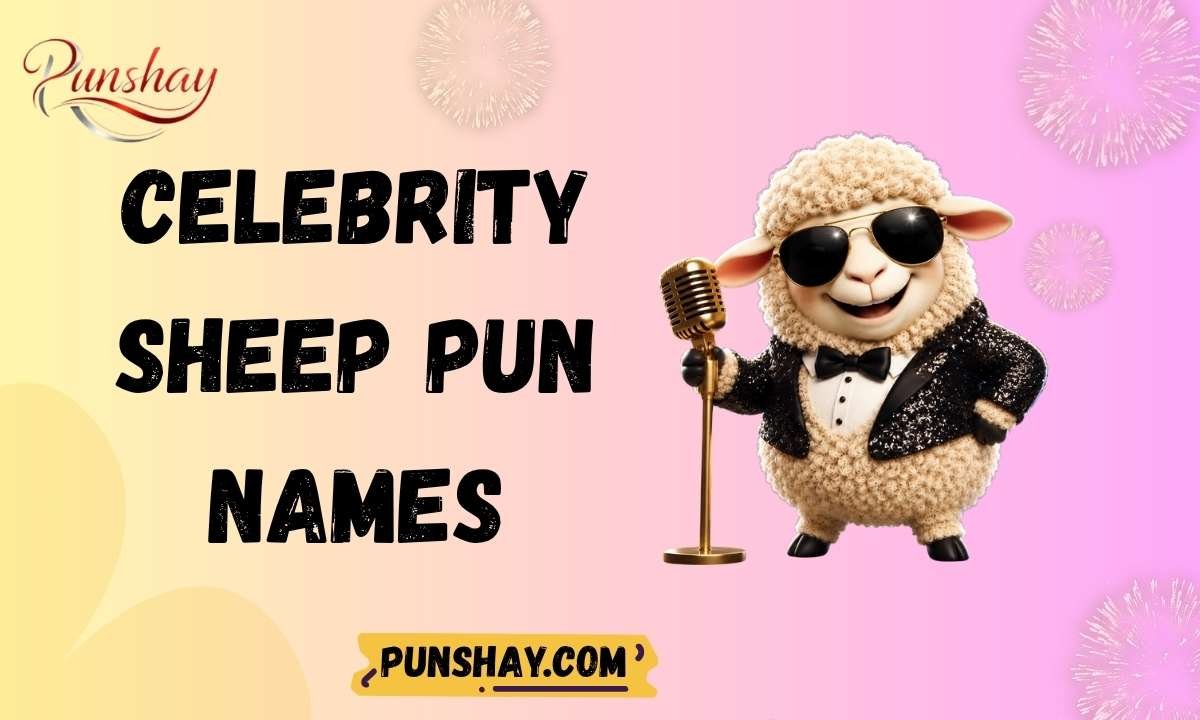 Celebrity sheep pun names