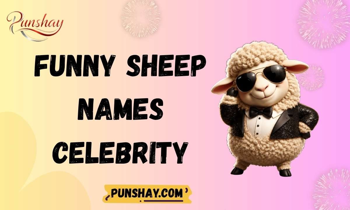Funny sheep names celebrity