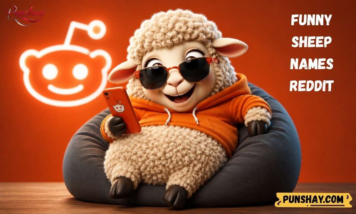 Funny sheep names reddit