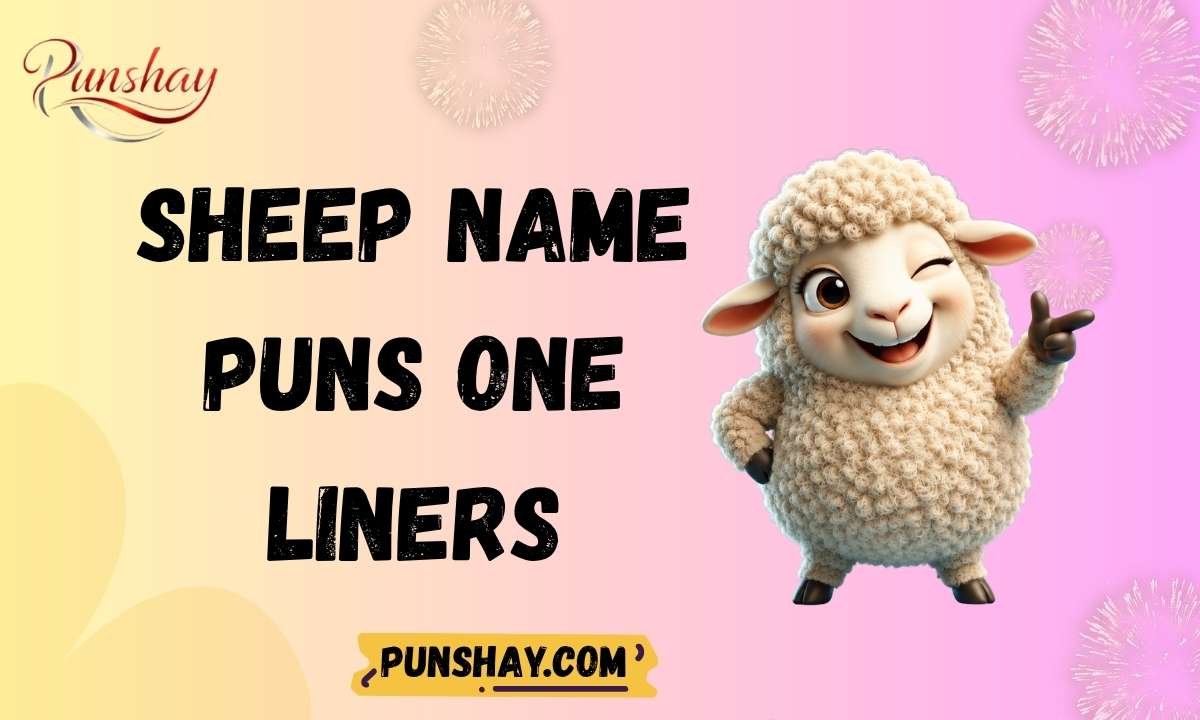 Sheep name puns one liners
